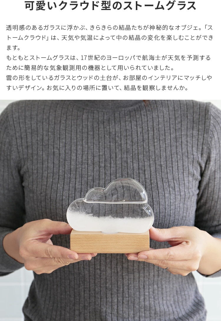 ストームクラウド STOME CLOUD【Bitten ビトゥン ストームグラス 天気管 晴雨予報グラス ガラス 結晶 雲 置物 オブジェ 飾り 天気予報 インテリア 北欧 テイスト かわいい 可愛い おしゃれ 贈り物 プレゼント 自由研究 新生活 誕生日 敬老の日】