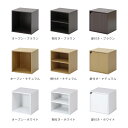 キューブボックス CUBE BOX オープン 扉付き 棚付【収納ボックス カラーボックス 木製 ブラウン 茶 白 シンプル 収納棚 リビング収納 ウッドラック ディスプレイラック おしゃれ家具 スリム 本棚 3段 2段 ナチュラル ポイント消化 子供部屋 誕生日プレゼント】