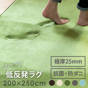 低反発ラグ 200x250cm【低反発 ラグ 滑り止め付き ラグマット ふわふわ 絨毯 じゅうたん リビング おしゃれ 秋冬用 春夏用 マット 厚手 赤ちゃん ベビー ノンホルムアルデヒド 防ダニ 抗菌 撥水 ホットカーペット対応 床暖房 遮音 もちもち 極厚 テレワーク 在宅】