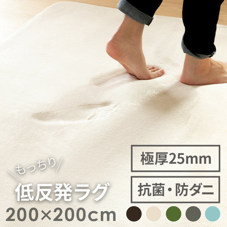 低反発ラグ 200x200cm|おしゃれ家具 低反発 ラグ 滑り止め付き ラグマット ふわふわ 絨毯 じゅうたん リビング おしゃれ 秋冬用 春夏用 マット 厚手 赤ちゃん ベビー ノンホルムアルデヒド 防ダニ 抗菌 撥水 ホットカーペット対応 床暖房 遮音 極厚