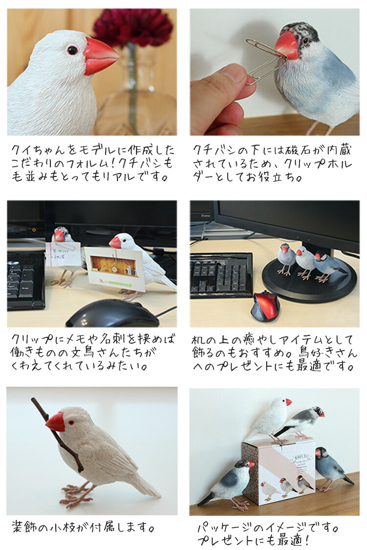 卓上の癒やし リアルな文鳥クリップホルダー Omochakka