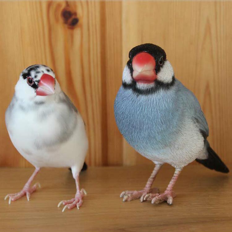 卓上の癒やし。リアルな文鳥クリップホルダー