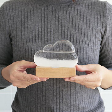 3000円クーポン獲得可★ストームクラウド STOME CLOUD【Bitten ビトゥン ストームグラス 天気管 晴雨予報グラス ガラス 結晶 雲 置物 オブジェ 飾り 天気予報 インテリア 北欧 テイスト かわいい 可愛い おしゃれ 贈り物 プレゼント 自由研究】