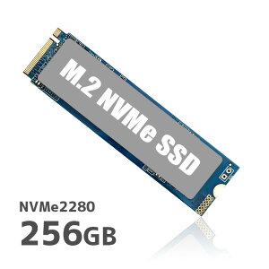 nvme256GSSD256GB NVMe M.2 2280 Υ֥ PCIe Gen 3.0 3D TLC  ɼ3000MB/s 2300MB/s
