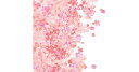 メガネ拭き パフューム抗菌クリーニングクロス 3017-51 サクラ柄