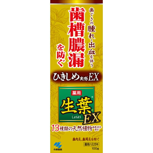 ★お取り寄せ商品★薬用 生葉EX 100g【小林製薬】 1