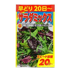 【アタリヤ】 早どりサラダミックス 20g