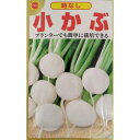 ※予告なくパッケージが変更になる場合がございます。ご了承ください。 肉質がち密でおいしい小かぶ ★商品特徴 ●早生小かぶの代表種。 ●酷暑・極寒の季節を除けばいつでも蒔くことができる。 ●肉質がち密でおいしい小かぶ。 ●煮物やみそ汁・シチューの具材に適している。 ★使用上の注意 ●本品記載の注意事項をよく読みお使いください。 ●種まき後の栽培条件、天候等によりその結果が異なることがあります。 ●この種子を食用、飼料用にしないでください。 ●お子様の手の届かない所に保管してください。 区分：園芸 原産国：イタリア ■お問い合わせ先 アタリヤ農園 【文責】株式会社奈良ドラッグ 電話　　06-6969-2668 薬剤師　中瀬　育代