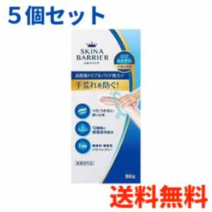 【5個セット・送料無料】大木製薬 スキナバリア 80g