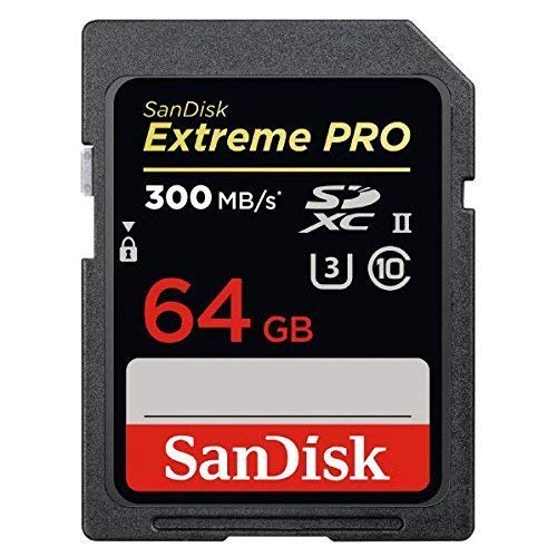 サンディスク 64GB・UHS Speed Class3(UHS-II)対応SDXCカード SDSDXPK-064G-JNJIP サンディスク 64GB・UHS Speed Class3(UHS-II)対応SDXCカード SDSDXPK-064G-JNJIP