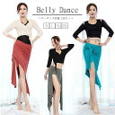ベリーダンス 衣装 セット ベリーダンス レッスン着 セットアップ ダンス トップス スカート 上下2点セット ダンス 衣装 社交ダンス ステージ衣装 レッスン...