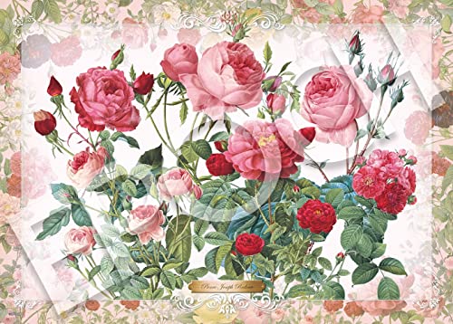 エポック社 500ピース ジグソーパズル 薔薇の誘い (38x53cm)