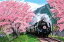 エポック社 1000ピース ジグソーパズル 桜と大井川鐵道-静岡 (50×75cm) 2,551円