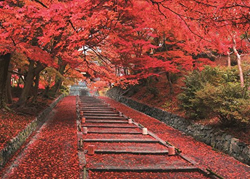 エポック社 500ピース ジグソーパズル 紅葉の毘沙門堂参道-京都 (38x53cm)