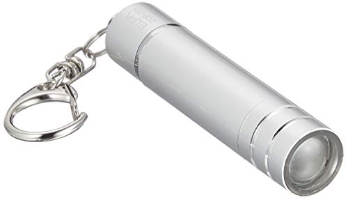 エルパ (ELPA) LEDキーライト LEDライト 懐中電灯 ランタン 直径16×全長76mm シルバー DOP-785(SL)