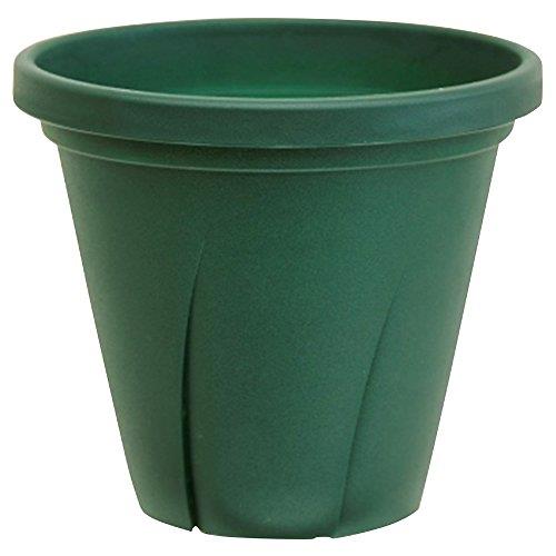 ȥåפ㤨¥ץ饹å Ϥȭ 6 1.8L ꡼פβǤʤ287ߤˤʤޤ