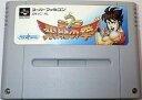 【送料無料】【中古】SFC スーパーファミコン SD飛龍の拳