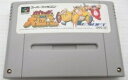 【送料無料】【中古】SFC スーパーファミコン バイキングの大迷惑