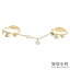 skyringの画像