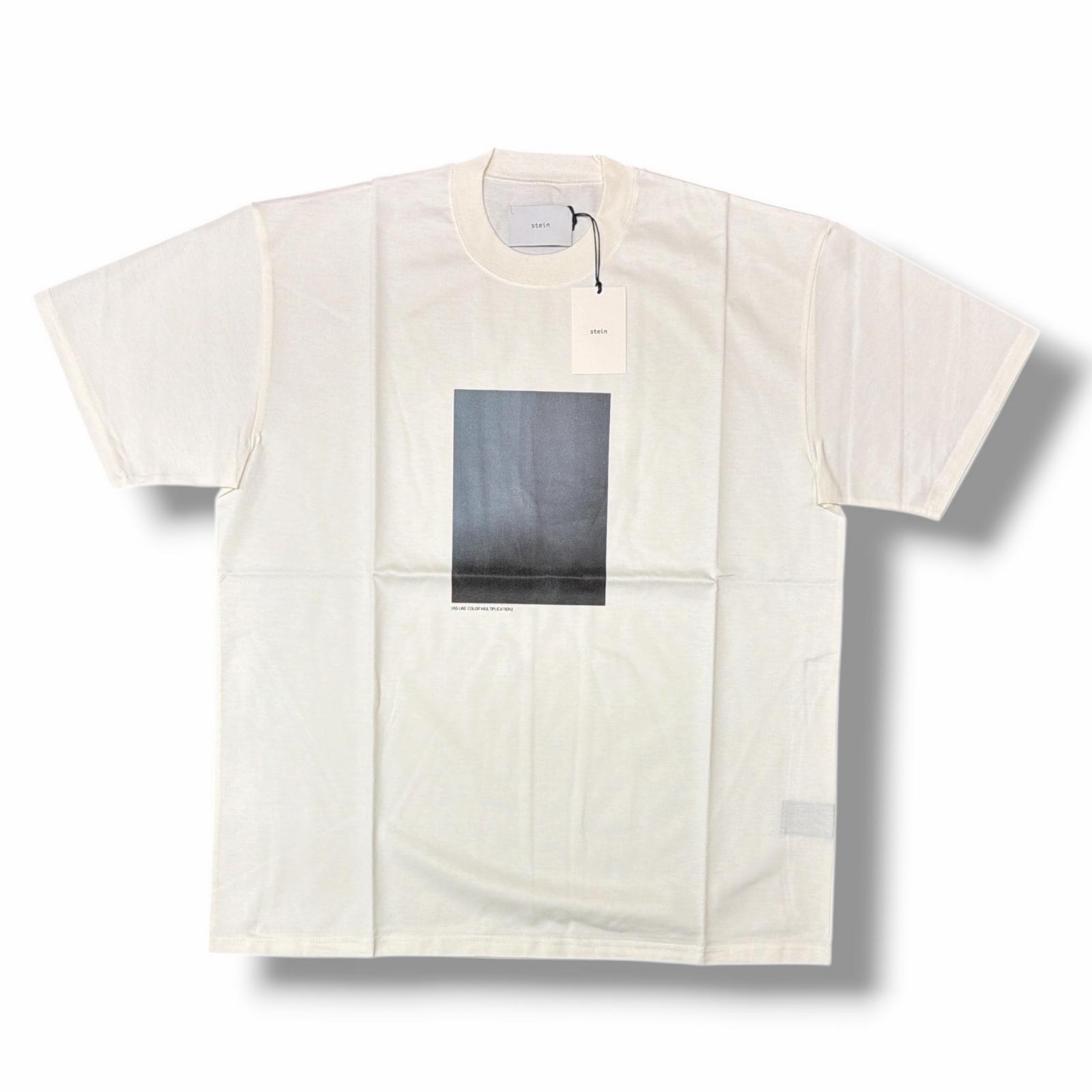 Rakuten - 未使用 stein(ssstein)・シュタイン PRINT TEE(SUPERIOR PIMA) LAYERING 状態SS プリントTシャツ 半袖カットソー ST.880 サイズM ホワイト メンズ （11793M）【中古】