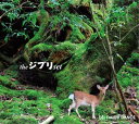 【中古】(CD)the ジブリ set／DAISHI DANCE、arvin homa aya、麻衣、Lori Fine