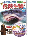 【中古】DVD付 危険生物 (小学館の図鑑 NEO)／塩見 一雄 山内 健生 森哲 成島 悦雄 小野 展嗣 和田 浩志 仲谷 一宏 吹春 俊光 松井 正文 篠原 現人 小松 浩典 夏秋 優 上里 博 松浦 啓一 大和田 守