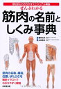 【中古】ぜんぶわかる筋肉の名前としくみ事典—部位別にわかりやすくビジュアル解説