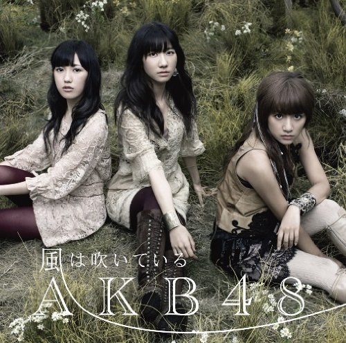 【中古】(CD)【多売特典生写真無し】風は吹いている (Type-B)(数量限定生産盤)／AKB48