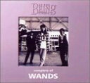 【中古】(CD)complete of WANDS at the BEING studio／WANDS