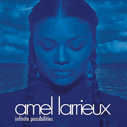 Amel Larrieux形式：CD【商品状態など】中古品のため商品は多少のキズ・使用感がございます。画像はイメージです。記載がない限り帯・初回特典やメーカー特典などは付属致しません。プロダクト、ダウンロードコードは使用できません。万が一、品質不備があった場合は返金対応致します。(管理ラベルは跡が残らず剥がせる物を使用しています。）【2025/10/23 18:36:28 出品商品】