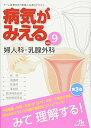 【中古】病気がみえる vol.9: 婦人科・乳腺外科