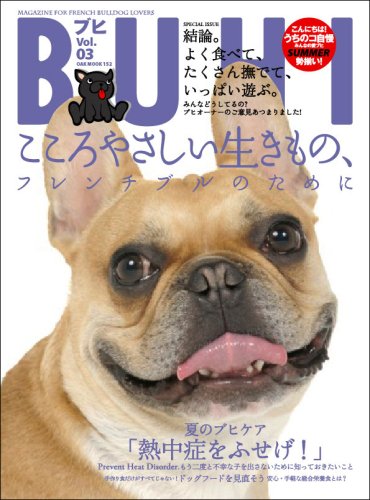 【中古】Buhi vol.03 (OAK MOOK 154)