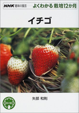 矢部 和則【商品状態など】中古品のため商品は多少のキズ・使用感がございます。画像はイメージです。記載ない限り帯・特典などは付属致しません。万が一、品質不備があった場合は返金対応致します。メーカーによる保証や修理を受けれない場合があります。(管理ラベルは跡が残らず剥がせる物を使用しています。）【2024/04/18 11:11:37 出品商品】