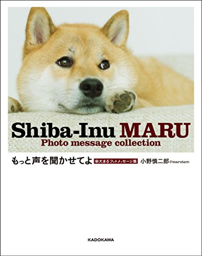 もっと声を聞かせてよ 柴犬まるフォトメッセージ集／小野 慎二郎