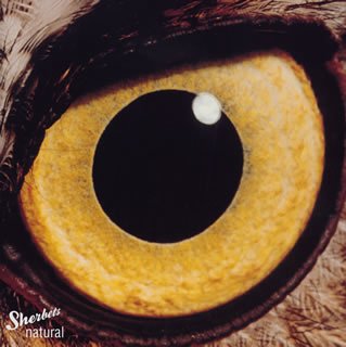 【中古】(CD)Natural／SHERBETS、THE SHERBETS