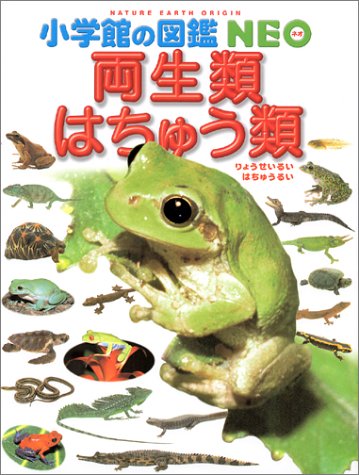 小学館の図鑑NEO 両生類・はちゅう類 (小学館の図鑑・NEO 6)／松井 正文、松橋 利光、疋田 努、太田 英利、前田 憲男、関 慎太郎