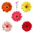 【中古】(CD)花は咲く/NHK交響楽団、東京佼成ウインドオーケストラ、他