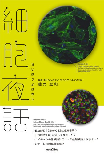 šۺ˦ (mag2libro)ƣ 