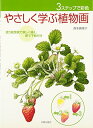 【中古】やさしく学ぶ植物画: 3ステップで彩色 塗り絵感覚で楽しく描く、原寸下絵付き/西本 眞理子
