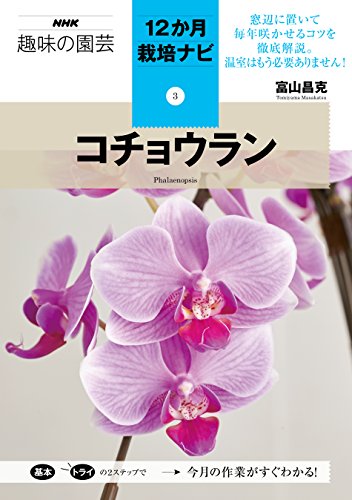 【中古】コチョウラン NHK趣味の園芸12か月栽培ナビ 3 ／富山 昌克