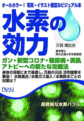 中学受験はやめなさい 高校受験のすすめ／じゅそうけん【1000円以上送料無料】