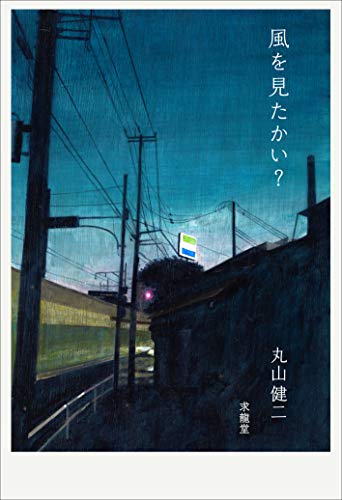 【中古】風を見たかい?／丸山 健二