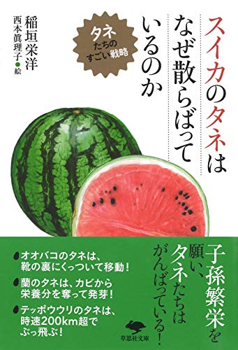 【中古】文庫 スイカのタネはなぜ散らばっているのか: タネたちのすごい戦略 (草思社文庫 い 5-1)／稲垣 栄洋