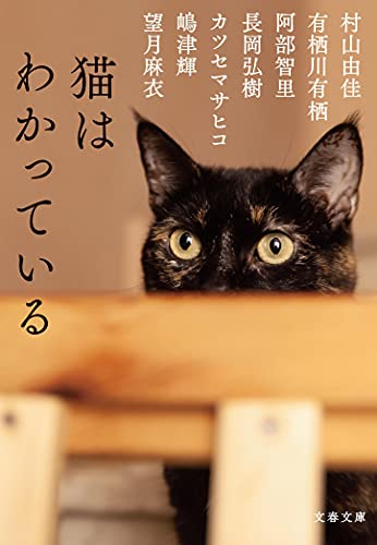 【中古】猫はわかっている (文春文庫 む 13-52)／村山 由佳、有栖川 有栖、阿部 智里、長岡 弘樹、カツセマサヒコ、嶋津 輝、望月 麻衣