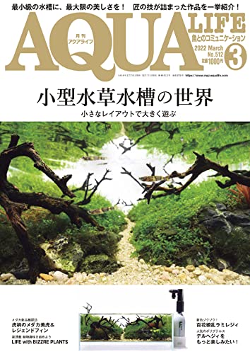 【中古】月刊アクアライフ 2022年 03 月号 小型水草水槽の世界