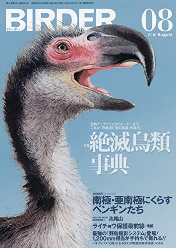 【中古】BIRDER(バーダー)2019年8月号 絶滅鳥類事典