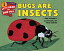 #6: Bugs Are Insectsの画像