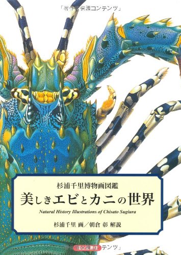 【中古】美しきエビとカニの世界 杉浦千里博物画図鑑／杉浦 千里
