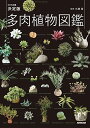 【中古】NHK出版 決定版 多肉植物図鑑