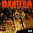 楽天買取王子【中古】（CD）Great Southern Trend／Pantera